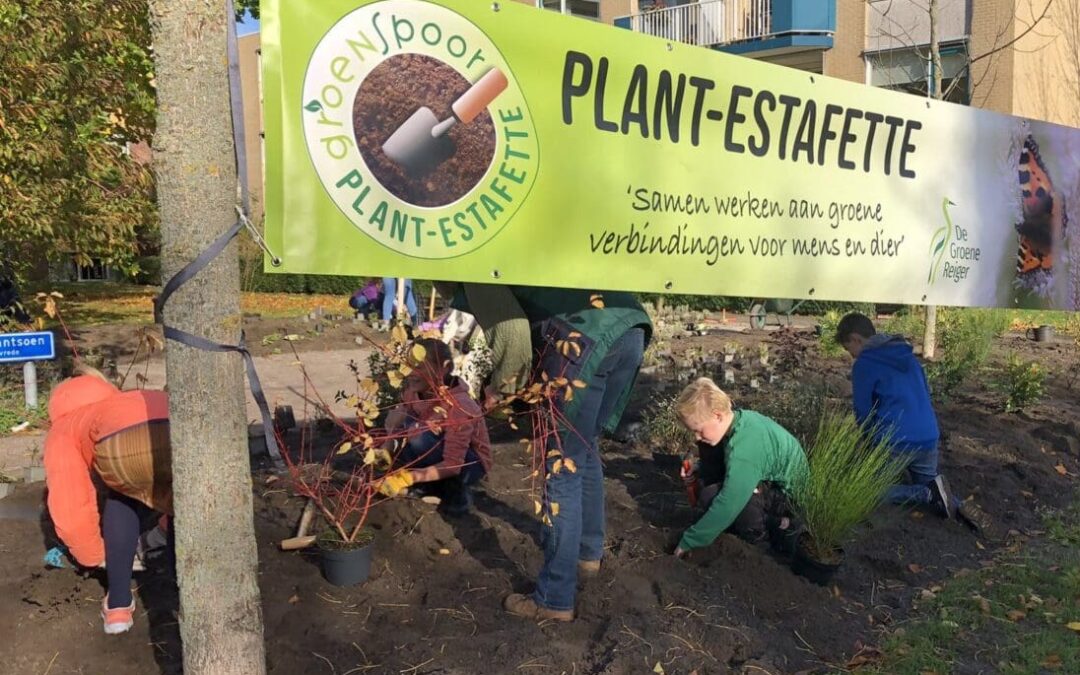 Leerlingen Windhoek school planten voor een groene, biodiverse speeltuin