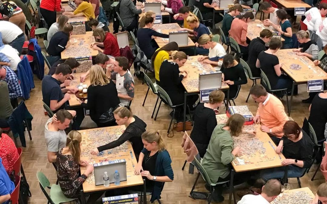 Doe mee aan de Wedstrijd Legpuzzelen in Dorpshuis De Schulp!